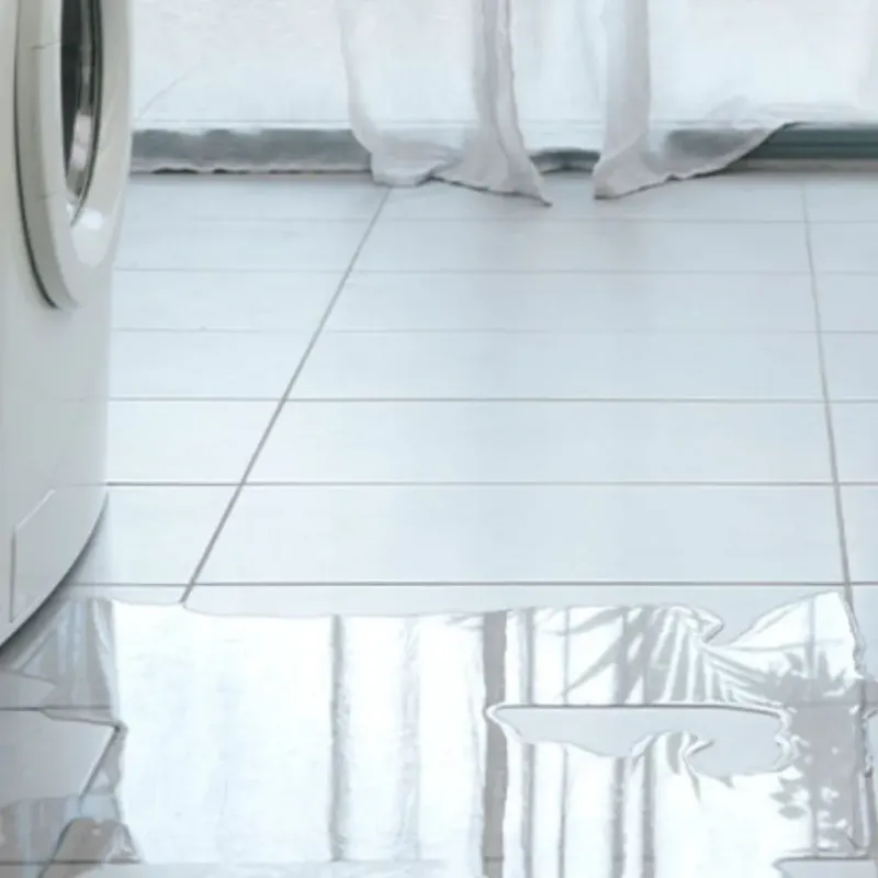 Appliance Leak Cleanup in Northlake, SC